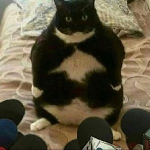 Meet your Posher, Danica